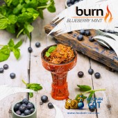 Табак Burn Blueberry Mint (Черника Мята) 25г Акцизный Табак Burn Blueberry Mint (Черника Мята) 25г Акцизный